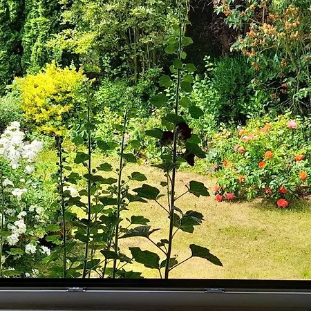 Ruhiges Einzelzimmer Mit Kuechen- Und Badnutzung Nahe Bhf Séjour chez l'habitant *